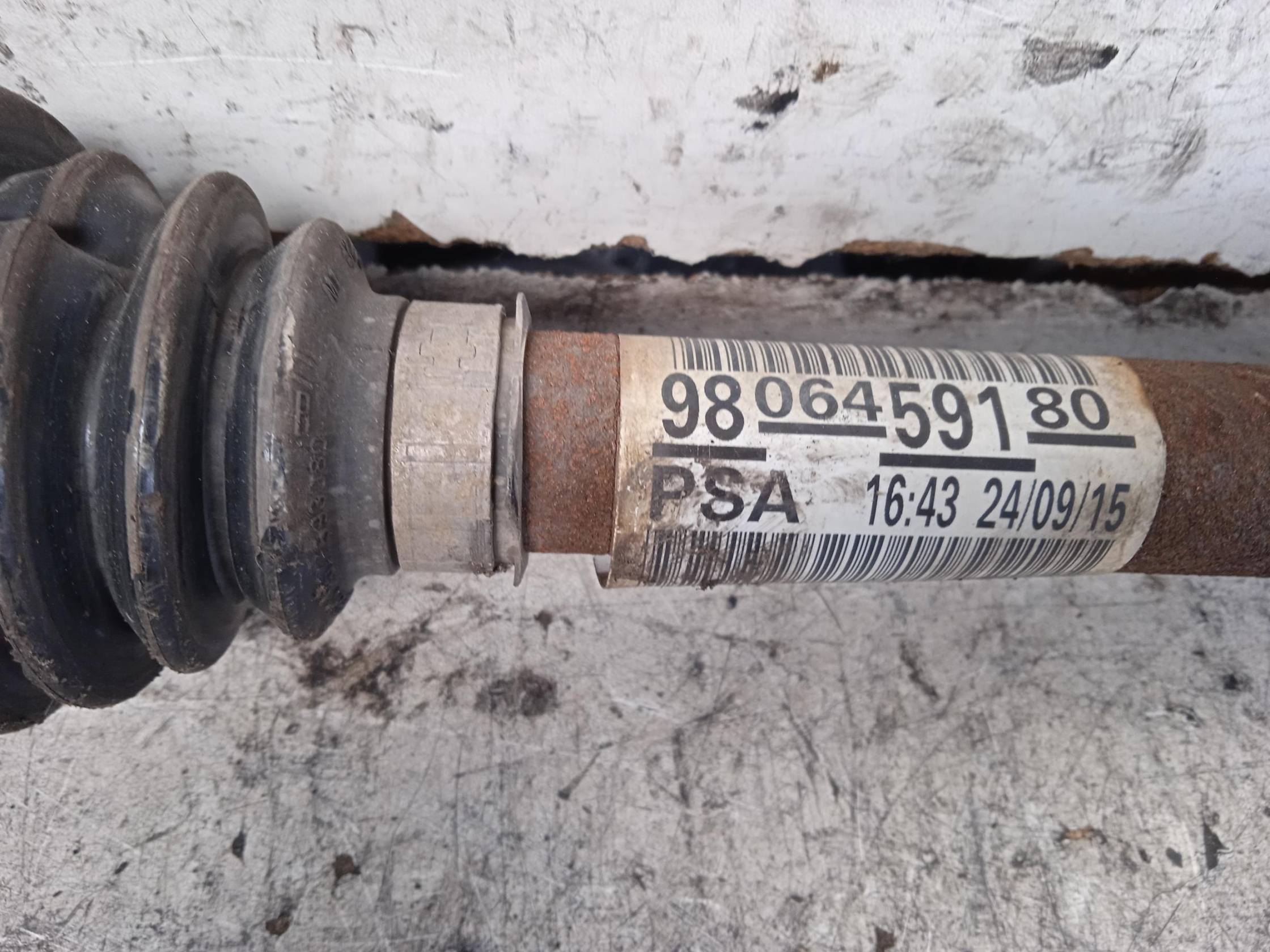 Semialbero ant. compl. sx.